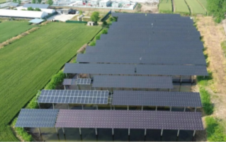 山东枣庄峰城500kW四端无机钙钛矿/晶硅叠层示范电站