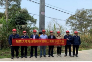 大弯矩高导电防雷电杆现场应用